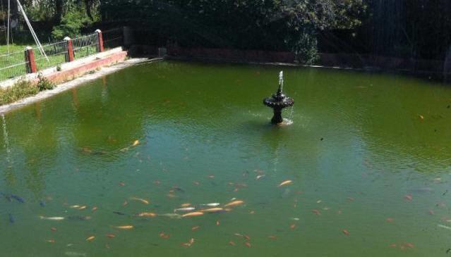 Campestre Sierra Viva Hotel ซากัตลัน ภายนอก รูปภาพ